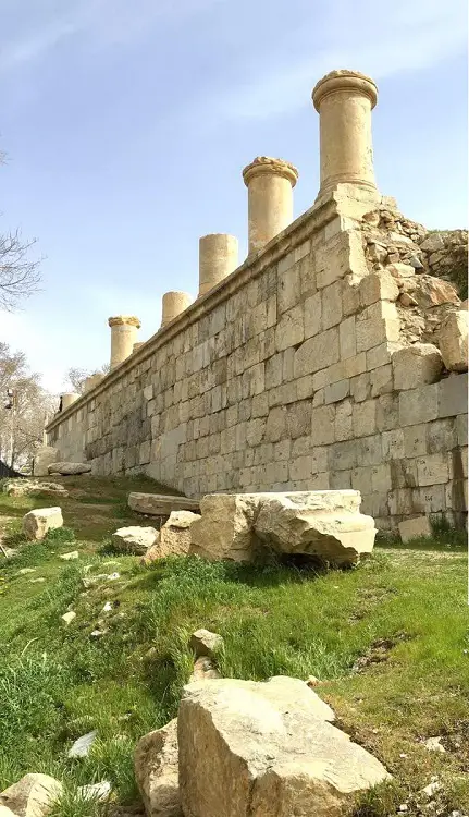 نمایی از معبد